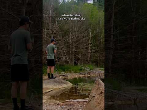 BEST Way To Catch Fish When They “Aren’t” Biting