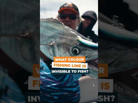 What colour fishing line is invisible to fish?