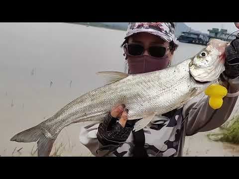 Dongting Lake Lure Fishing | Topmouth Culter, Mandarin Fish &amp; More | Female Angler VLOG