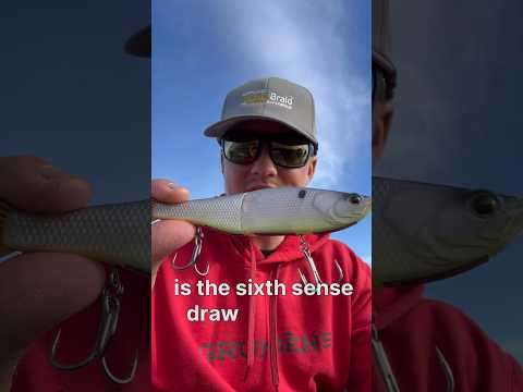 The BEST Beginner Glide Bait On The Market!