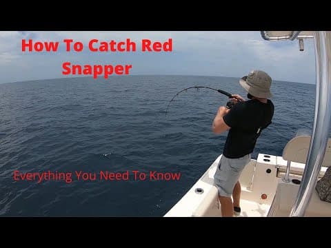 How To Catch Red Snapper: The Start To Finish Guide! Be Prepared For Snapper Season +Fishing Spots