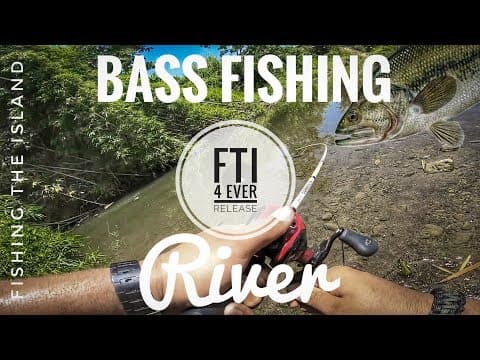 Bass Fishing In Puerto Rico River