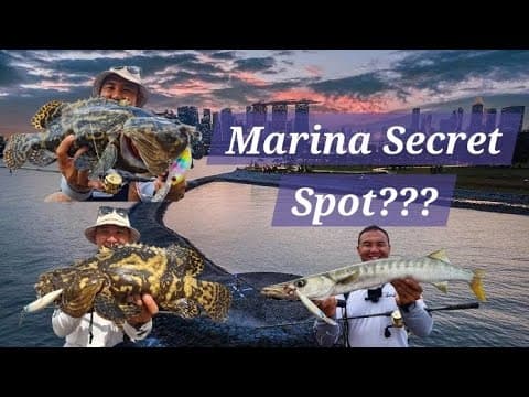 EP10: Marina Barrage Secret Spot Shore Fishing in Singapore [Groupers and Barracuda]