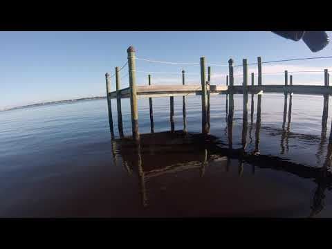 Jumping Tarpon near docks in the St Lucie River