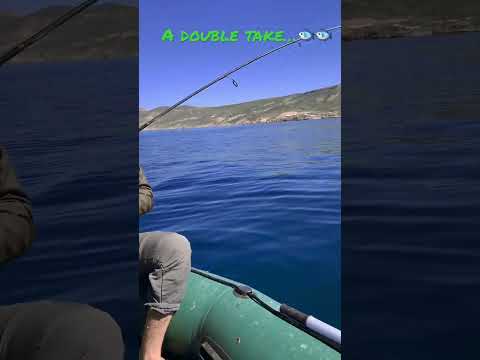 Mediterranean fishing