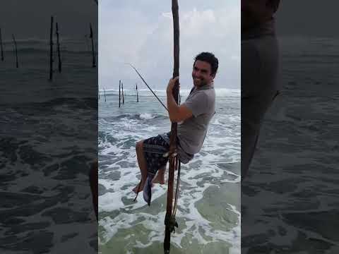 Stilt Fishing is a traditional style of fishing in Sri Lanka #fishermen #fishing