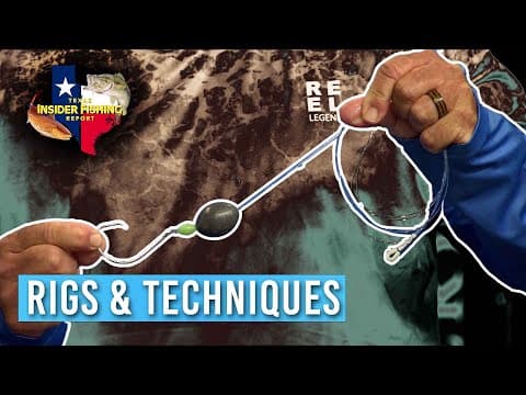 Grouper Rigs and Techniques - Florida Insider Fishing Report 2023