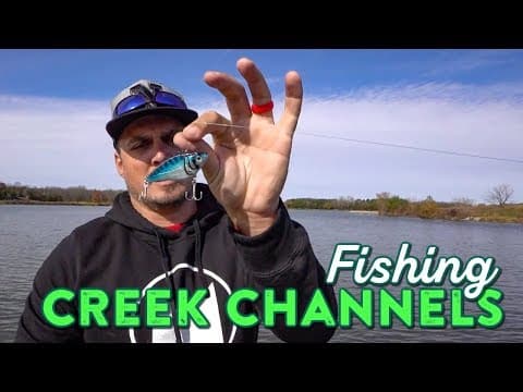 Catching Bass Feeding On Shad In Creeks