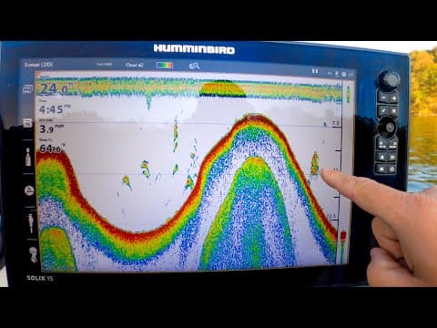 Sonar Basics: How To Identify Fish (Bass, Panfish, and Baitfish)