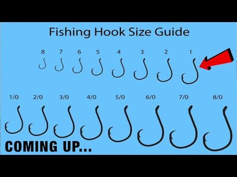 FISHING HOOKS EXPLAINED! HOW TO CHOOSE The BEST FISHING HOOKS For BASS FISHING and MORE  - KastKing