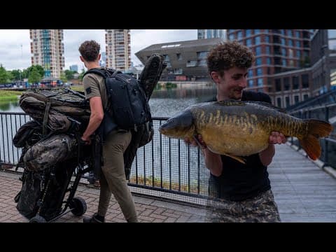 CARP FISHING IN LONDON - Big carp on the docks