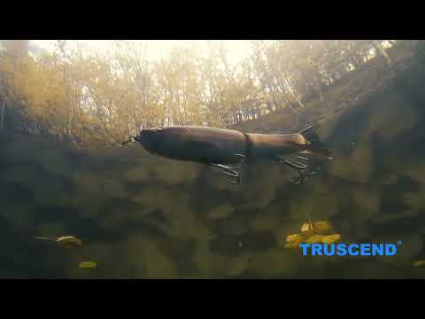 TRUSCEND Glide Bait Trout Fishing Lure