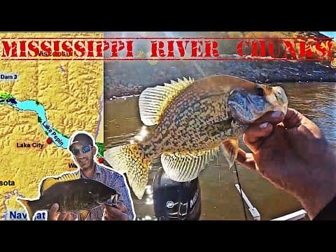 The BIGGEST LAKE On The Mississippi River | GIANT Bluegills & Crappies (Multi-Species)