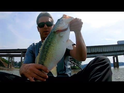 smashing bass at Logan Martin lake late March 2021