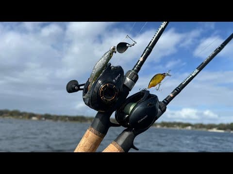 BFS Reel Comparison! (Shimano Curado BFS vs KastKing Zephyr)