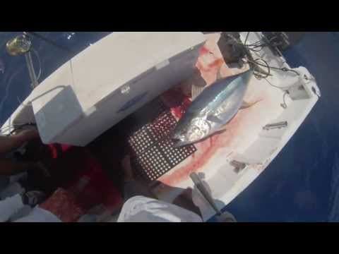 2013 Ep #11 Elysse&#39;s First 163# Ahi (Yellowfin Tuna) Fishing Kona, Hawaii 07-18-13