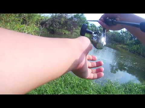 Snakehead Fishing in Hong Kong