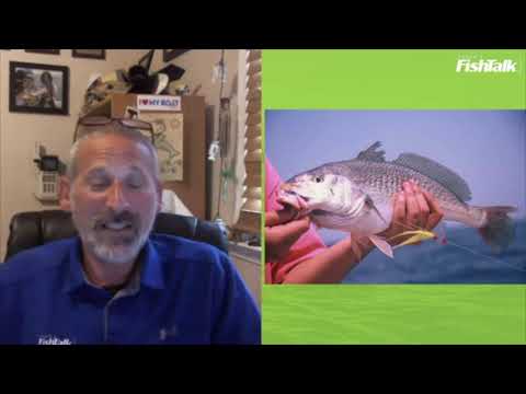 Tips for Bottom Fishing on the Chesapeake Bay | LIVE with Lenny Rudow