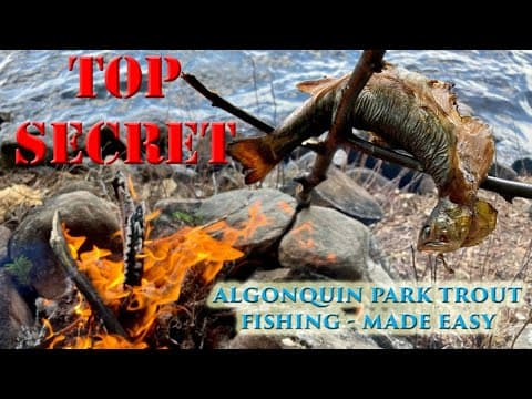 The SECRETS to Finding Algonquin Park Trout - A Complete How To Fishing Guide