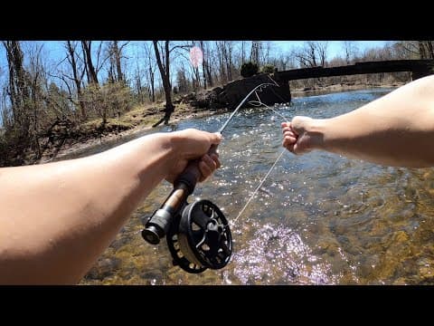 FLY FISHING FOR THE FIRST TIME EVER!!! (Tutorial from Cast to Catch)