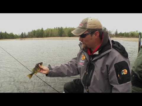 Early Spring Pike Locations