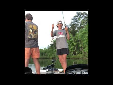 Chasing Shad and catching fish at Oak Mountain State Park!