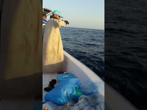 البحارة العمانيون_fishing in oman _ tuna