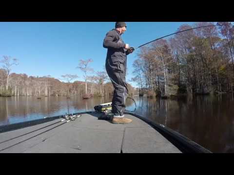 James River Fall Bass Fishing