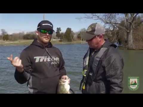 Jerkbait Fishing on Cedar Creek Lake with Professional Angler Bradley Roy