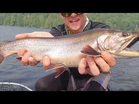 Battling Brookies deep in Algonquin Park