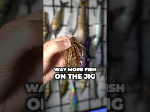 How to Catch MORE Bass on a Jig! #fishing