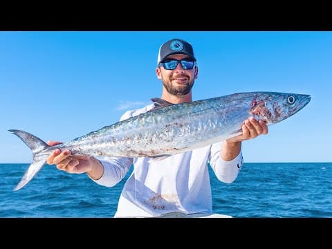 How to Catch Kingfish on Live Bait!