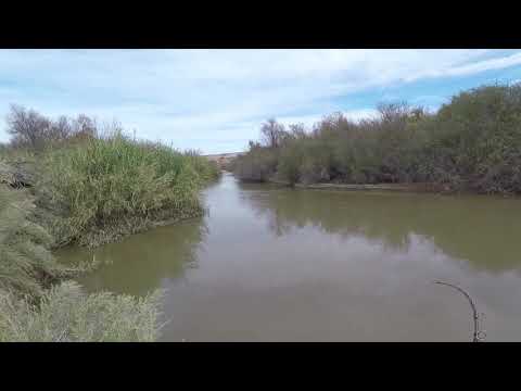 Imperial Valley flatheads
