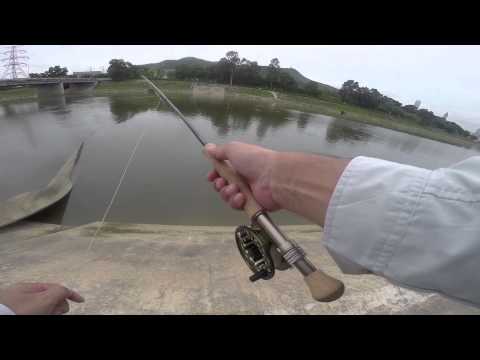 Fly Fishing in the Rivers of Hong Kong - Part 1: Tarpon &amp; Carp in PlainRiver