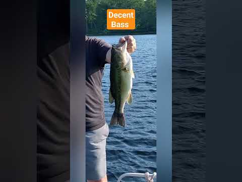 Rob Out Fished us all!#bassfishing #dogfish #fishingmichigan