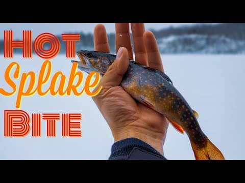 Ice Fishing for Splake on Structure-Tips for Catching Splake