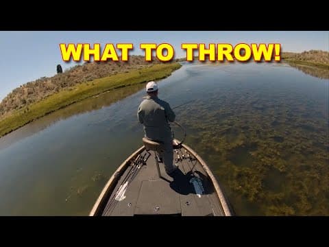 Mastering Bass Fishing in Weeds: Strategies for Effective Angling | Bass Fishing
