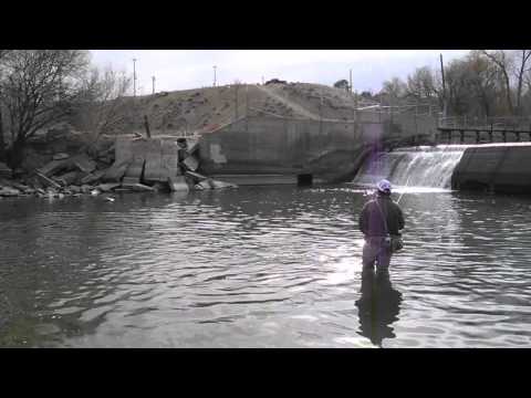 Fly Fishing Mythbusters &quot;Do fish eat your splitshot?&quot;