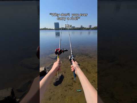 They are called &quot;FishyFlow rods&quot; 🫣🔥 #relaxing #fishing #fishingrod