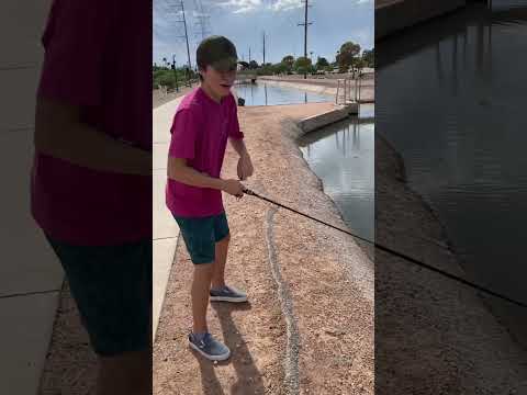 How to catch a fish! AZ canal fishing #fishing #bassfishing