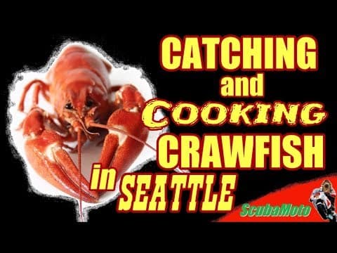 Catch N' Cook Crayfish Crawfish in Seattle Washington