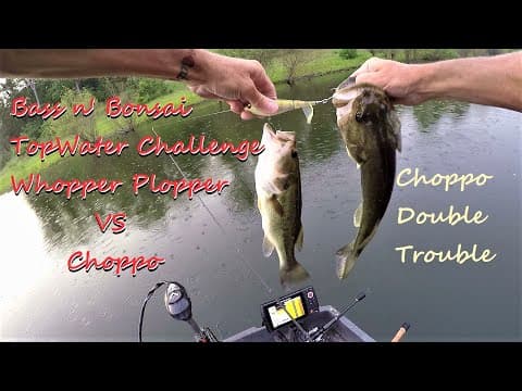 Bass Fishing TopWater Challenge Whopper Plopper VS Choppo Best Bait is it Better