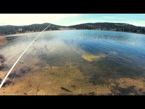 Mountain Trout Fishing near Lake Tahoe!