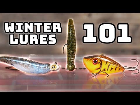 Winter Bass Fishing Lures Every Angler Needs NOW!