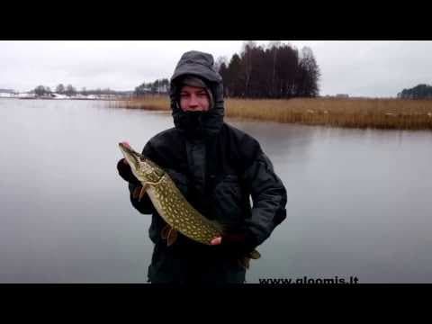 G.Loomis.lt / Winter Fishing for Pike