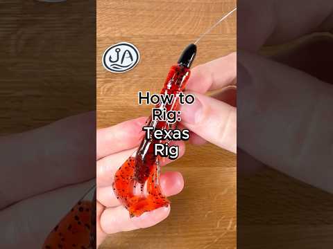 How to rig a Texas Rig #fishing #bassfishing #howto #fishingtips