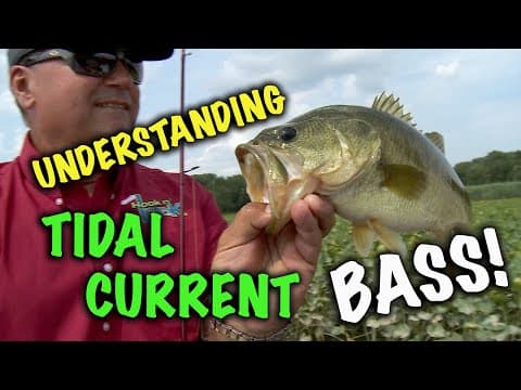 Understanding Tidal Current Bass!