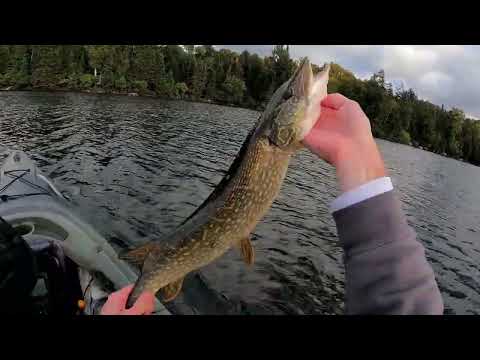 Fishing Eagle Lake for Pike and Bass - Sept 2022