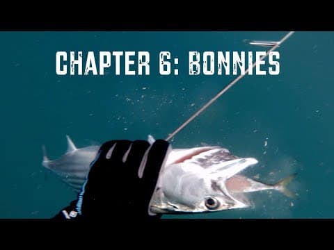 Spearfishing Sydney Chapter 6: Bonnies
