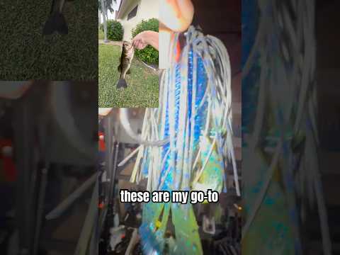 Top 5 BEST June Bass Lures! #viralvideo #bassfishing #sportfishing #fishingequipment